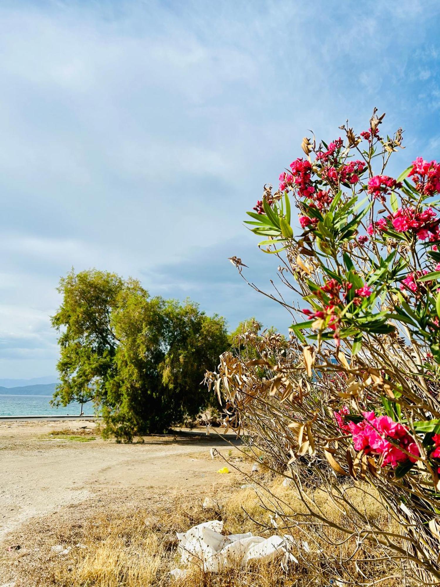 Marina'S Seacret Apartment Corinth ภายนอก รูปภาพ